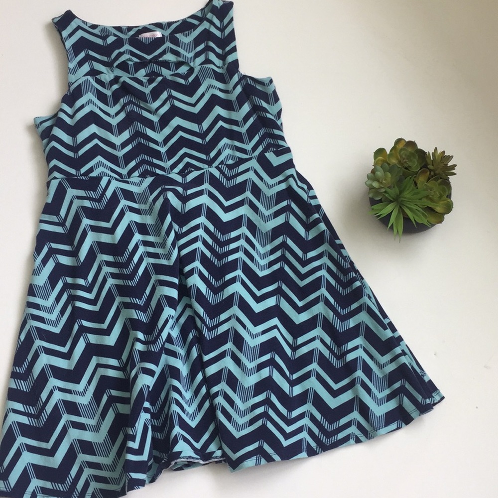 Xhilaration Fit and Flare Dress